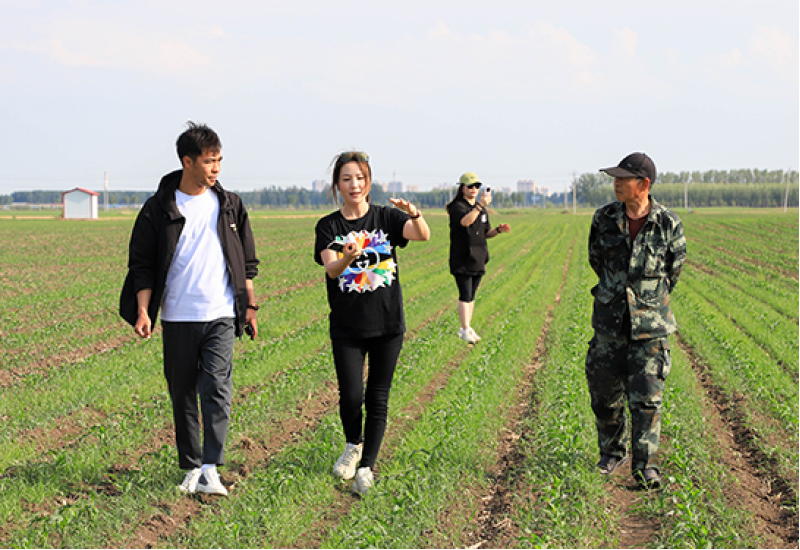 绍兴冬港餐饮考察利如金农业集团种植加工基地